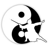 Wudang Taichi