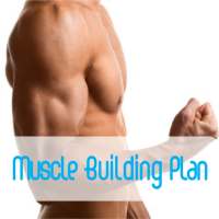 Muscle Building Diet Plan