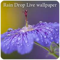 Rain Drop Live Wallpaper