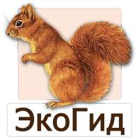 EcoGuide: Russian Wild Mammals - Tracks, Voices
