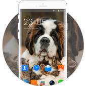 Theme for Nokia 220 Dual SIM Pets Wallpaper