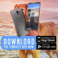 TENASITY on 9Apps