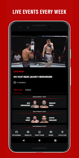 UFC screenshot 2
