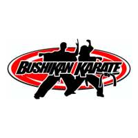 Bushikan Karate Team on 9Apps