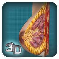 Breast anatomy in 3D on 9Apps