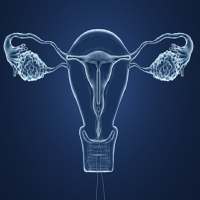 Obstetrics & Gynecology Mnemonics