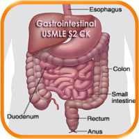 Gastrointestinal USMLE S2CK QA