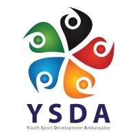 YSDA Project