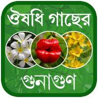 Herbal Medicine Bangla on 9Apps