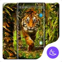 Tiger APUS Launcher theme