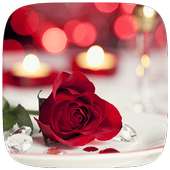 Rose of love Live wallpaper on 9Apps