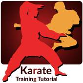 Karate Training