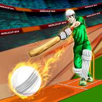Dünya kriket ligi 2019 oyunu: Şampiyonlar Kupası