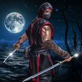 Ninja assassin wojownik wojenny: bohater wojenny