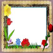 corona Photo flower Frames on 9Apps
