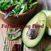 fat burning foods on 9Apps