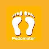 Pedometer