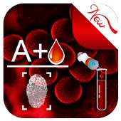 Blood Group Detector Prank on 9Apps