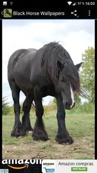 Descarga de la aplicación Fondos Pantalla Caballo Negro 2023 - Gratis - 9Apps Descarga de la aplicación Fondos Pantalla Caballo Negro 2023 - Gratis - 9Apps