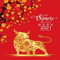 Feliz año nuevo chino 2021 GIF 4K