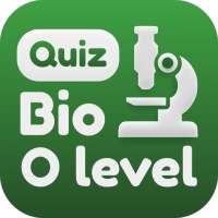 Слаби уровень интернет. O level. Слаби уровень интернет. O level. O level.