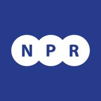 NPR New Parts Ricambi on 9Apps