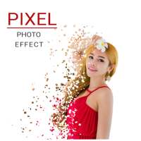 Pixel Photo Effect on 9Apps