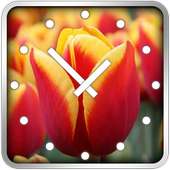 Tulips Clock Widget