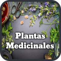 Plantas Medicinales y Medicina Natural on 9Apps