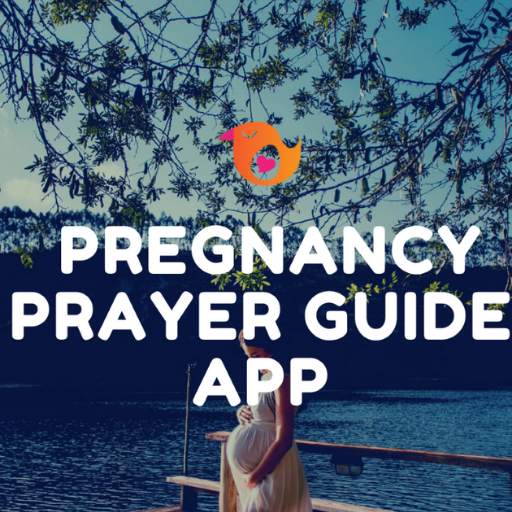 Pregnancy Prayer Guide App
