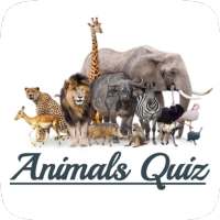 Animal Picture Quiz - Guess the Animal name