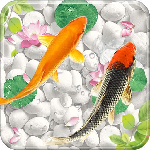 Fish live wallpaper 2020: Aquarium koi Background