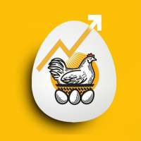 Egg and Chicken Rates on 9Apps