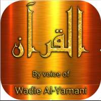 Wadi Al Yamani full Quran mp3 & read offline on 9Apps