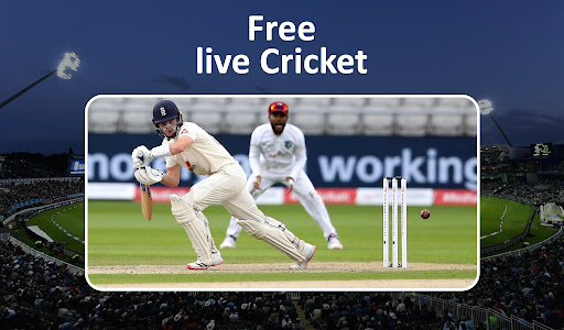 Live wicket tv hot sale