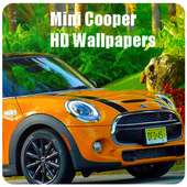 Mini Cooper Walls