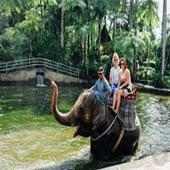 Bali Elephant Live Feed Webcam and Chat on 9Apps