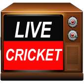 Live Cricket on TV Channels
