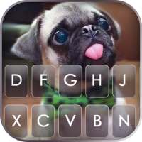Latar Belakang Keyboard Cute Tongue Pug