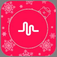 Filters&Transactions of Musical.ly