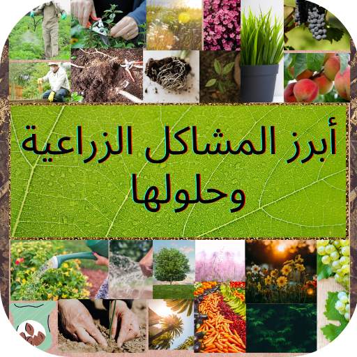 Agriculture secrets, problems and solutions