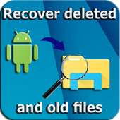 Recover Deleted Files : internal storage /sd carte