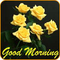 Good morning Images Gifs, Flowers Roses wallpapers on 9Apps