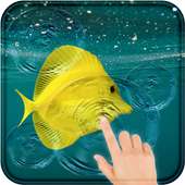 Fish Live Wallpaper: Magic Touch Effect on 9Apps