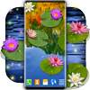 Water Lily Live Wallpaper ? Flowers Wallpapers