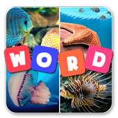 4 Pics One Word on 9Apps
