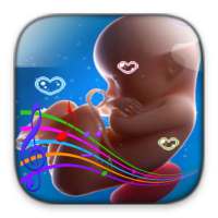 PREGNANCY MUSIC COLLECTION on 9Apps