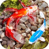 Fish Tank Live Wallpaper on 9Apps