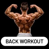 Back workout