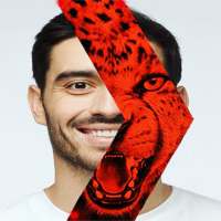 The face of the red tiger on 9Apps